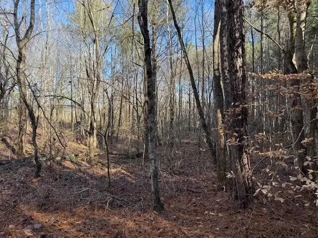 8 County Road 751, Valley Head, AL 35989 - Image #3