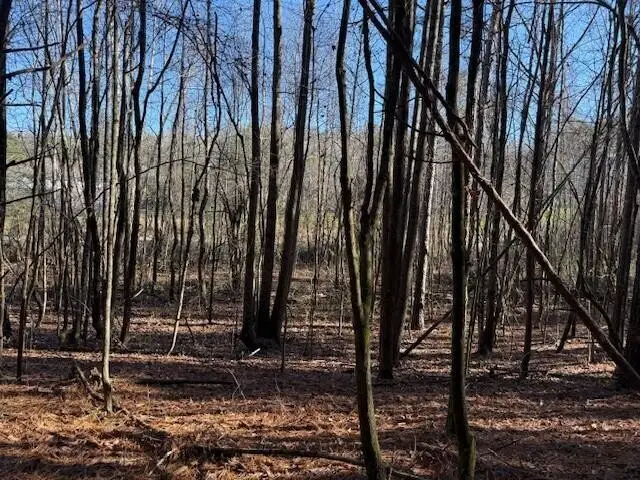 10 Hwy 11, Valley Head, AL 35989 - Image #3