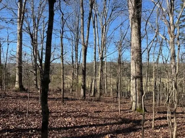 4 County Road 751, Valley Head, AL 35989 - Image #3