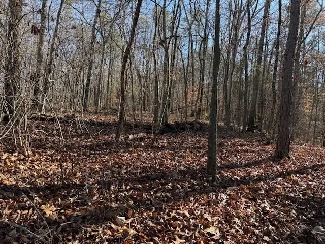 5 County Road 751, Valley Head, AL 35989 - Image #1