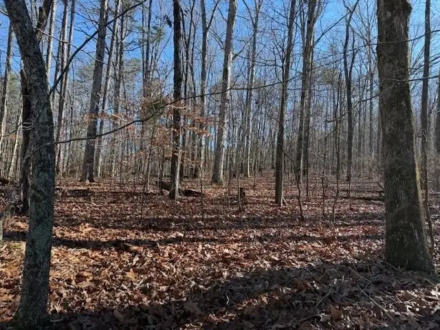 6 County Road 751, Valley Head, AL 35989 - Image #2