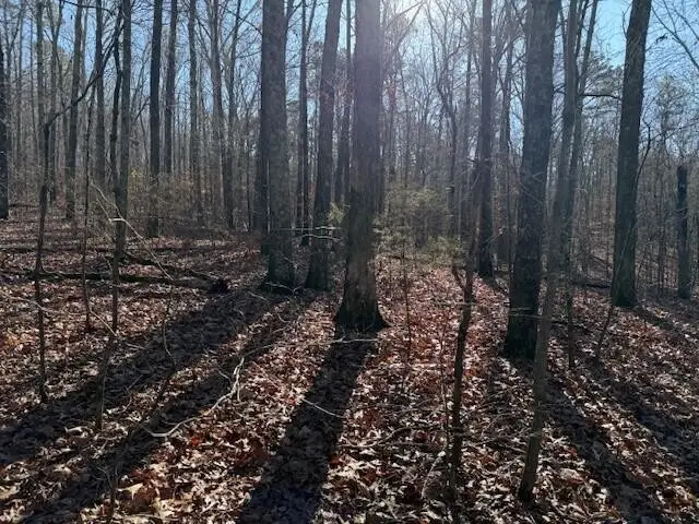 6 County Road 751, Valley Head, AL 35989 - Image #3