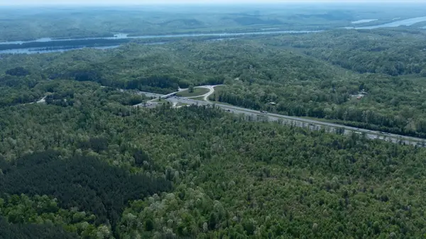 177 Martin Cv, Holladay, TN 38341