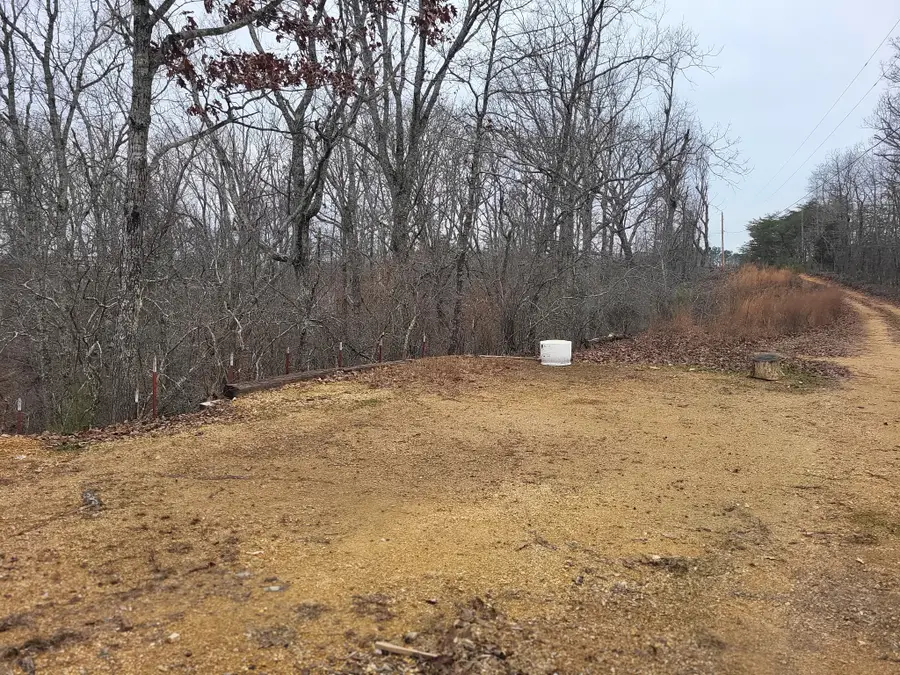 177 Martin Cv, Holladay, TN 38341 - Image #3