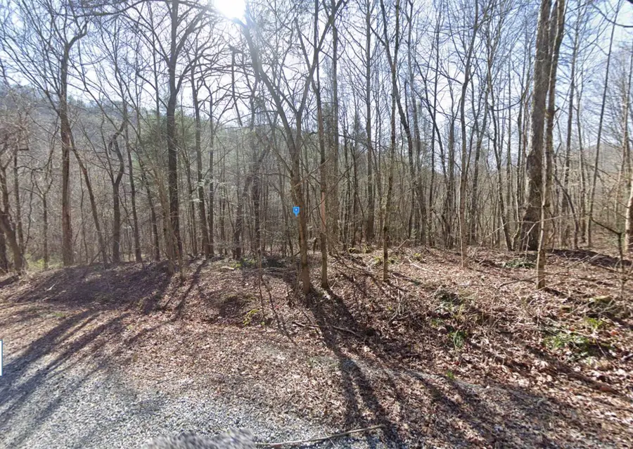 115 Kiowa Way, Del Rio, TN 37727 - Image #2