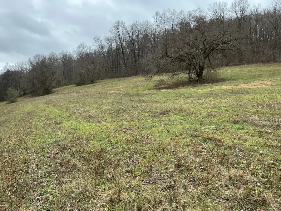 0 Lazy Branch Rd, Normandy, TN 37360 - #3