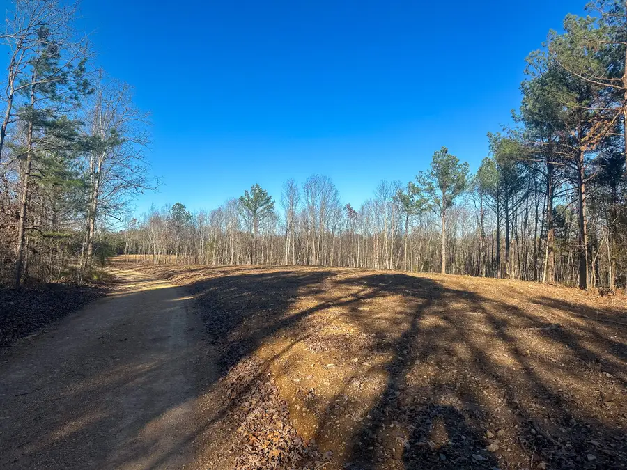 0 Firetower Rd, Centerville, TN 37033 - Image #3