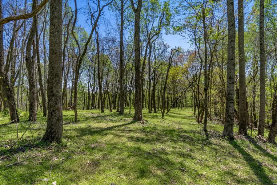 2819B Yell Rd, Lewisburg, TN 37091 - Image #2