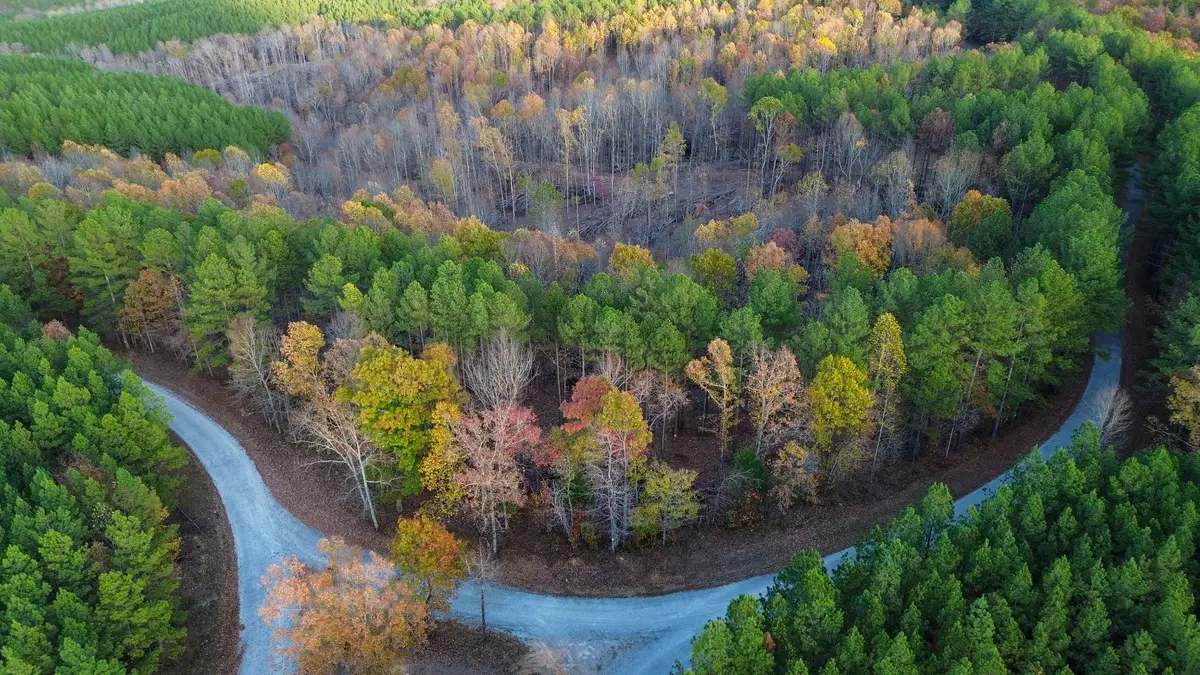 0 Sassafras Stand Ridge Rd, Linden, TN 37096 - Image #1