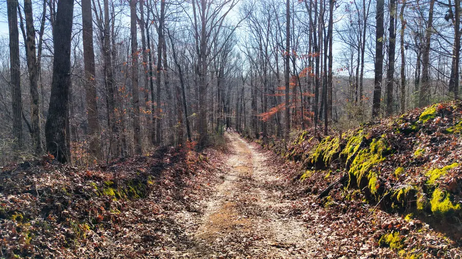 0 Old Swan Rd, Centerville, TN 37033 - Image #3