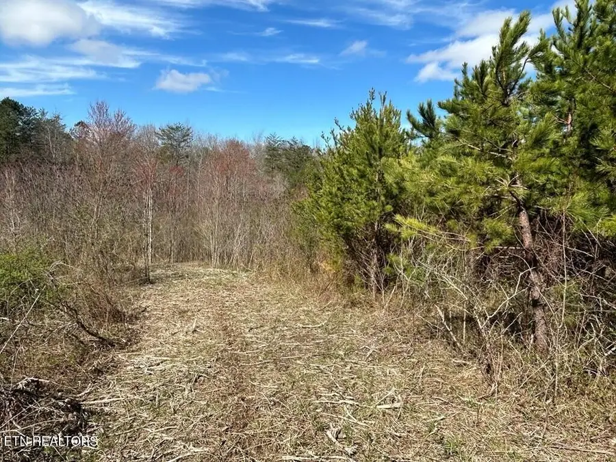 0 Holt Spur Drive, Jamestown, TN 38556 - Image #3