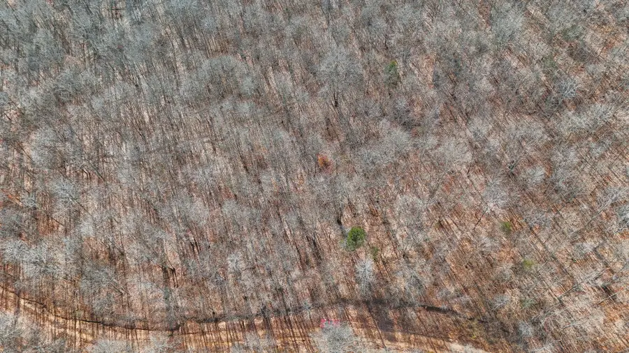 0 Pigpen Hollow Rd, Waynesboro, TN 38485 - Image #2