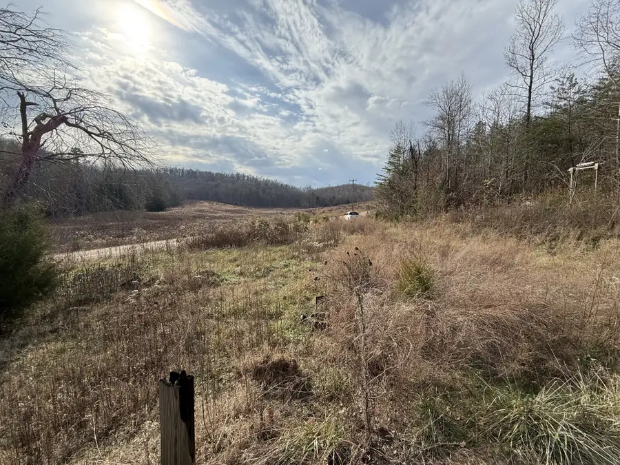 4819 Morrison Creek Rd, Clifton, TN 38425 - Image #3
