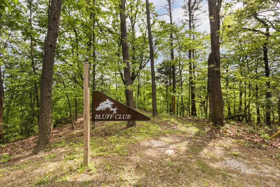 2502 Clifttops Ave, Monteagle, TN 37356 - Image #3