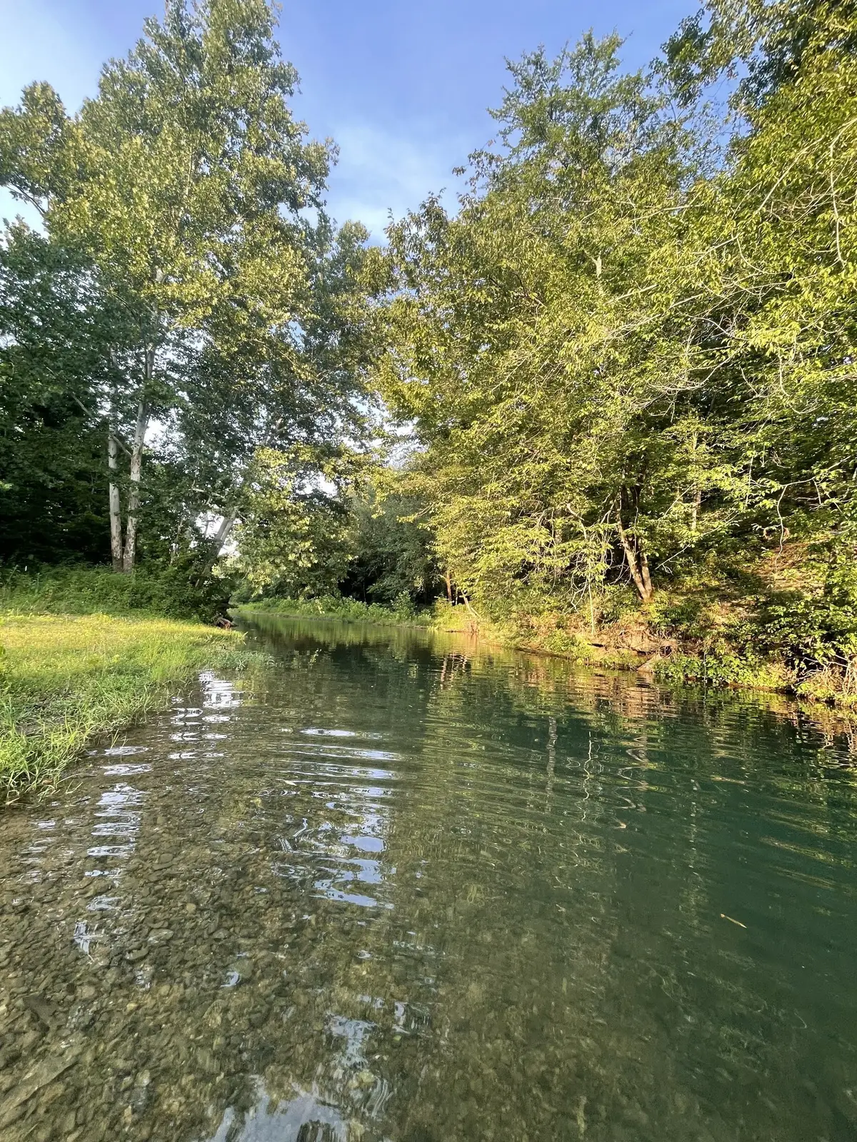 0 W Blue Creek Road, Waverly, TN 37185 - Image #1