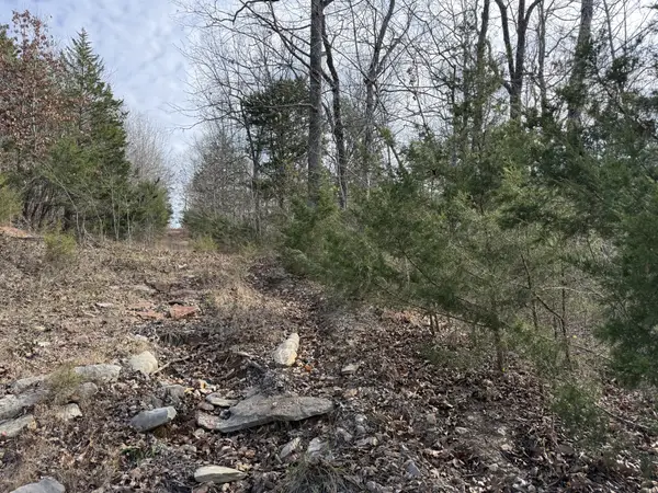 0 Riverview Rd, Clifton, TN 38425