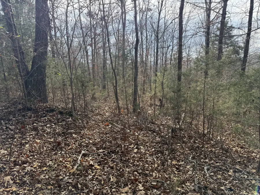 0 Riverview Rd, Clifton, TN 38425 - Image #3