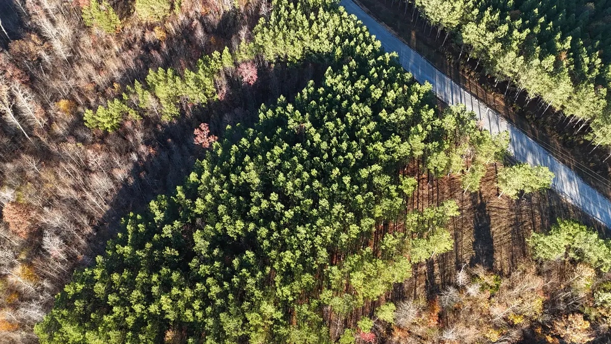 252 Streamside Dr, Linden, TN 37096 - #1