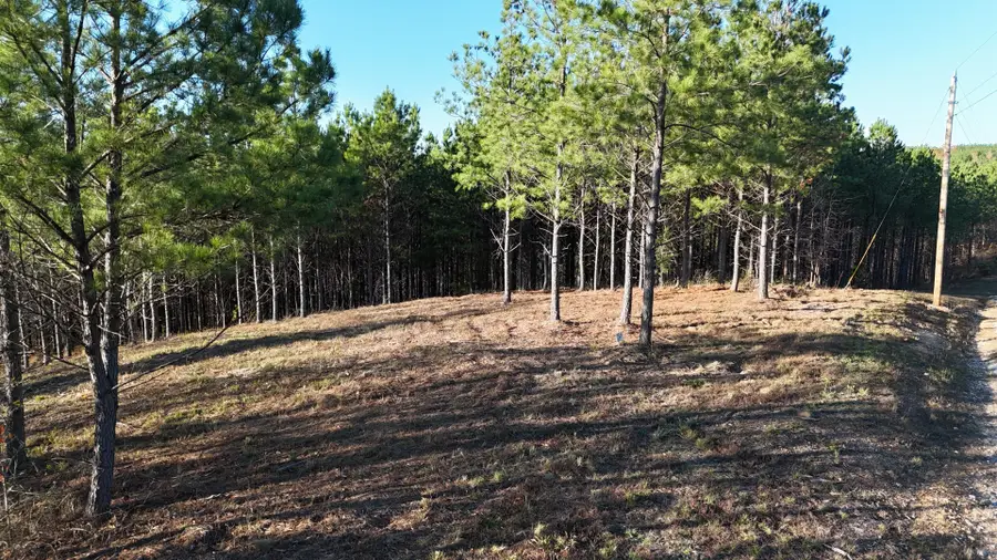 252 Streamside Dr, Linden, TN 37096 - #2