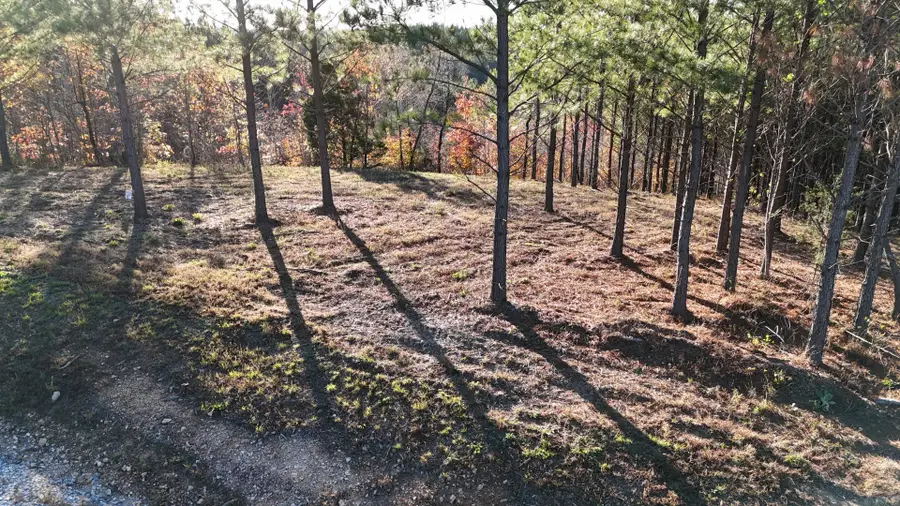 252 Streamside Dr, Linden, TN 37096 - #3