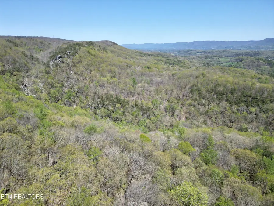 0 Old Spencer Road - 200 Acres, Pikeville, TN 37367 - Image #3