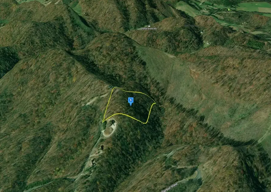 9098 Paradise View Dr, Mooresburg, TN 37811 - Image #2