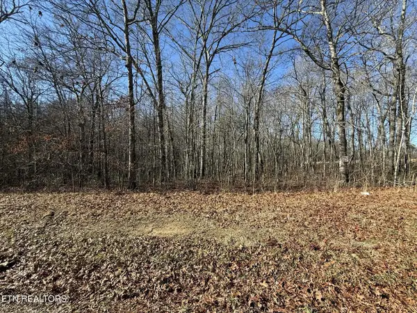 0 Georgee Road, Lot 14, Jamestown, TN 38556