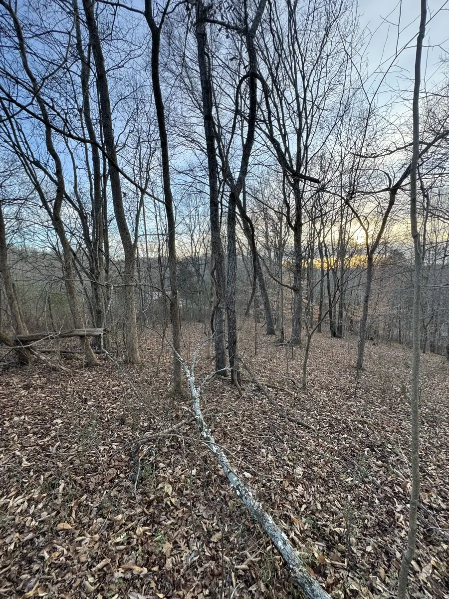 0 Macon Wall Rd, Ashland City, TN 37015 - Image #2