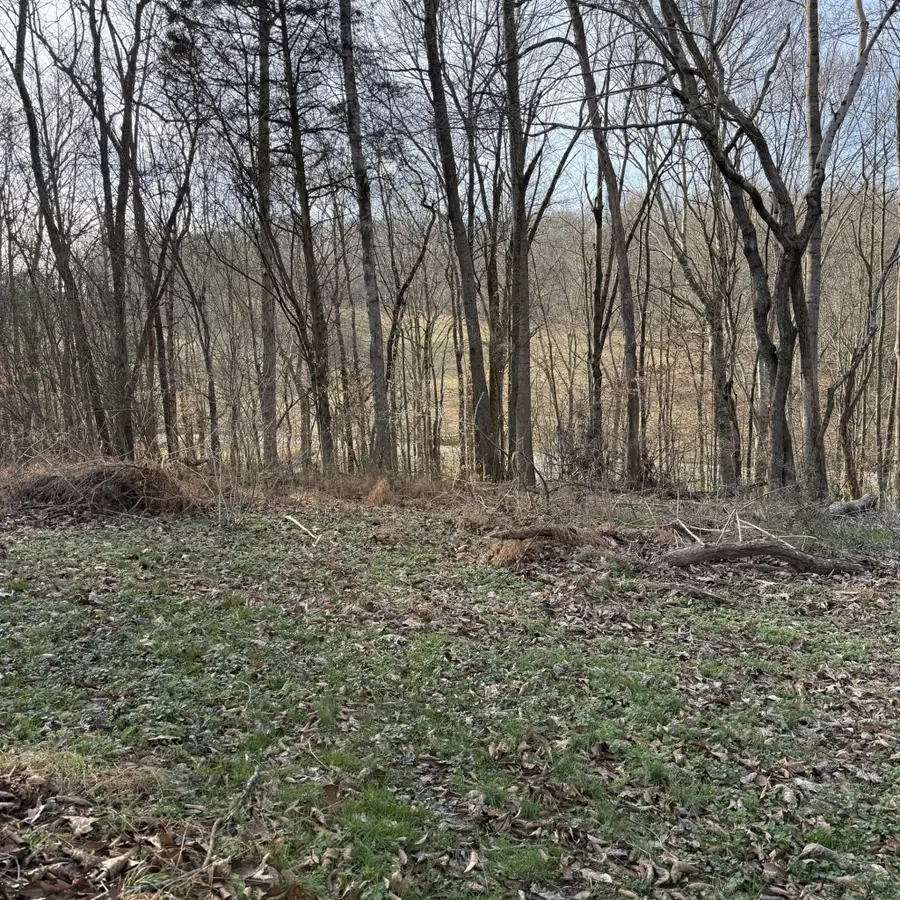 0 N College St, Red Boiling Springs, TN 37150 - Image #2