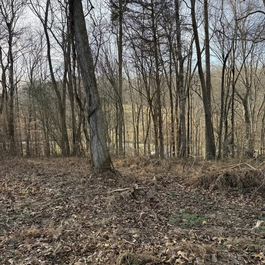 0 N College St, Red Boiling Springs, TN 37150 - Image #3