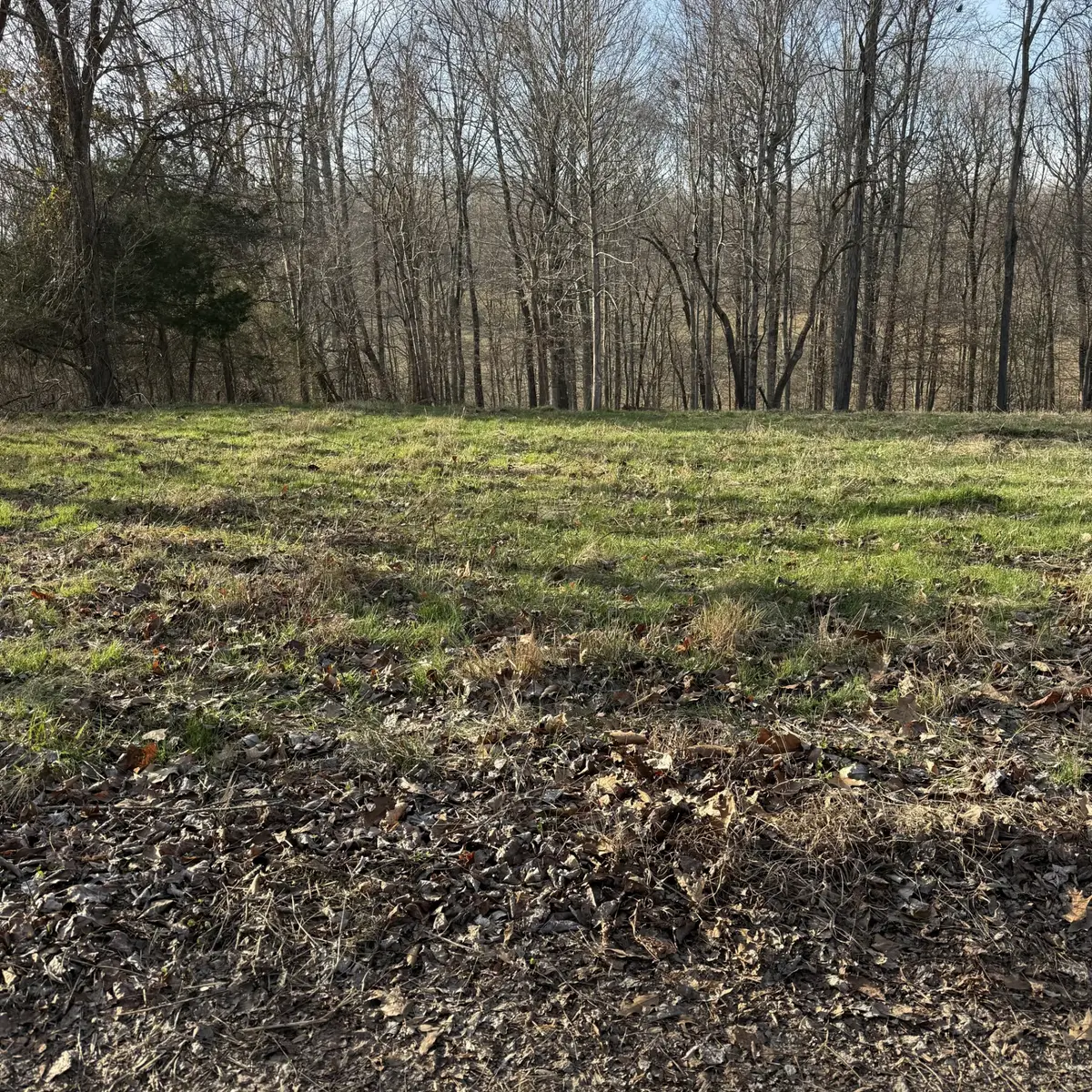 0 N College St, Red Boiling Springs, TN 37150 - Image #1