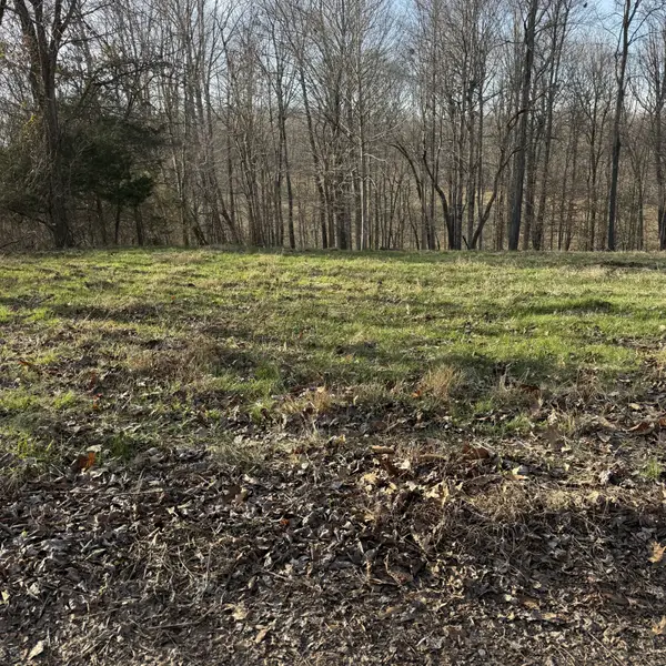 0 N College St, Red Boiling Springs, TN 37150