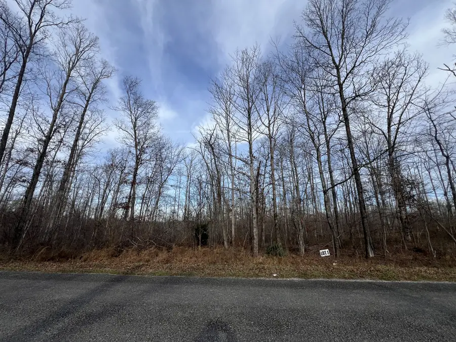 1 Slaughter Rd, Primm Springs, TN 38476 - Image #3