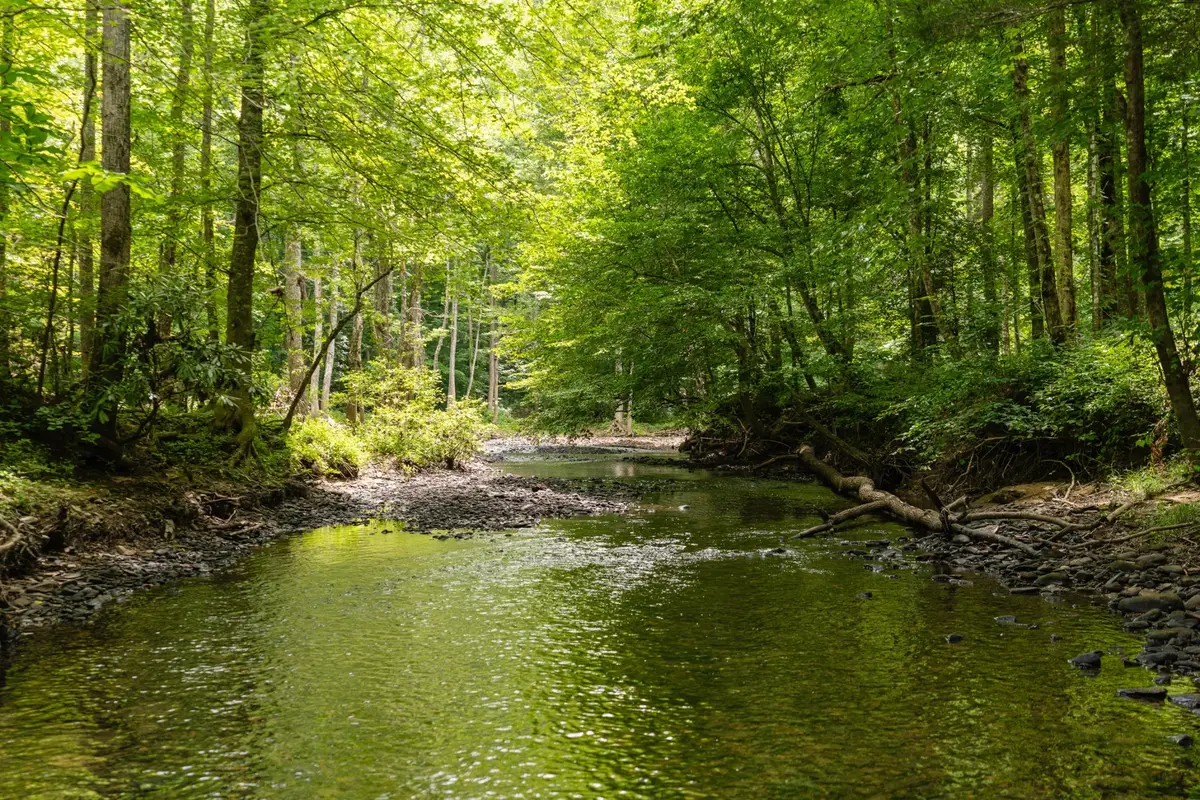 0 Steel Tram Ridge Ln, Crawford, TN 38554 - Image #1