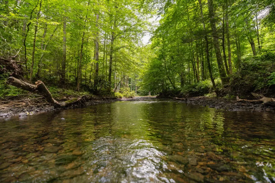 0 Steel Tram Ridge Ln, Crawford, TN 38554 - Image #3