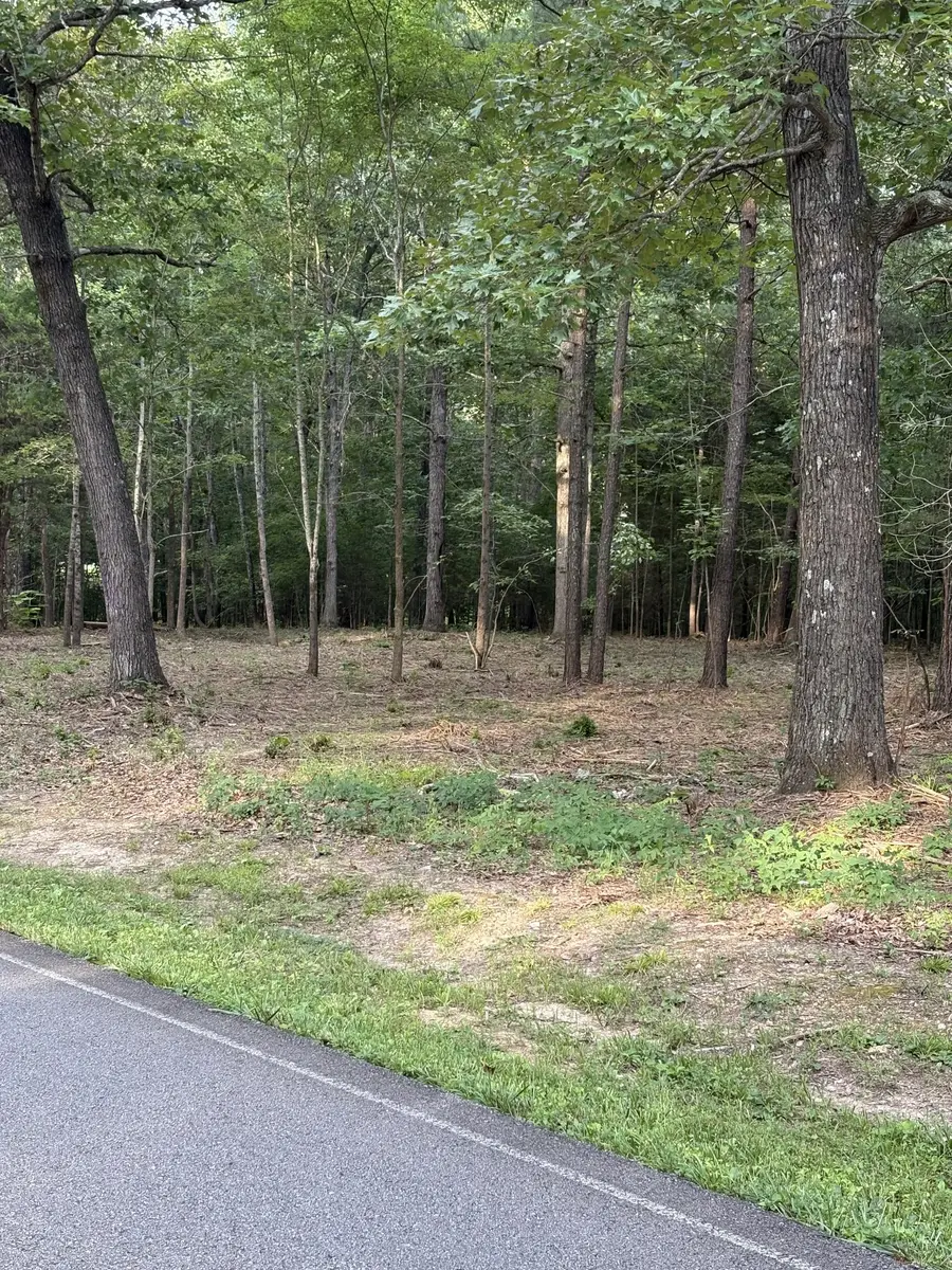 0 Iron Hill, Burns, TN 37029 - Image #2