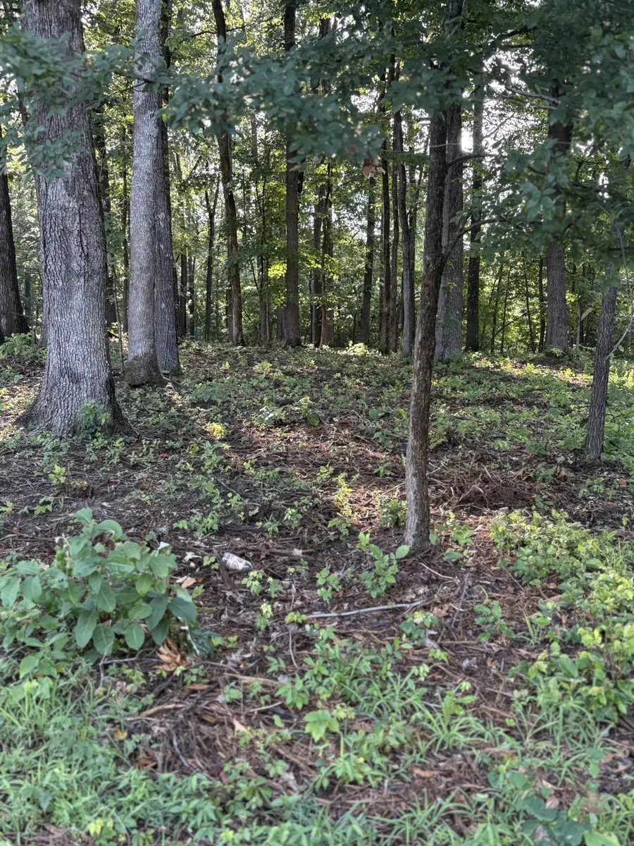 0 Iron Hill Road, Burns, TN 37029 - Image #2