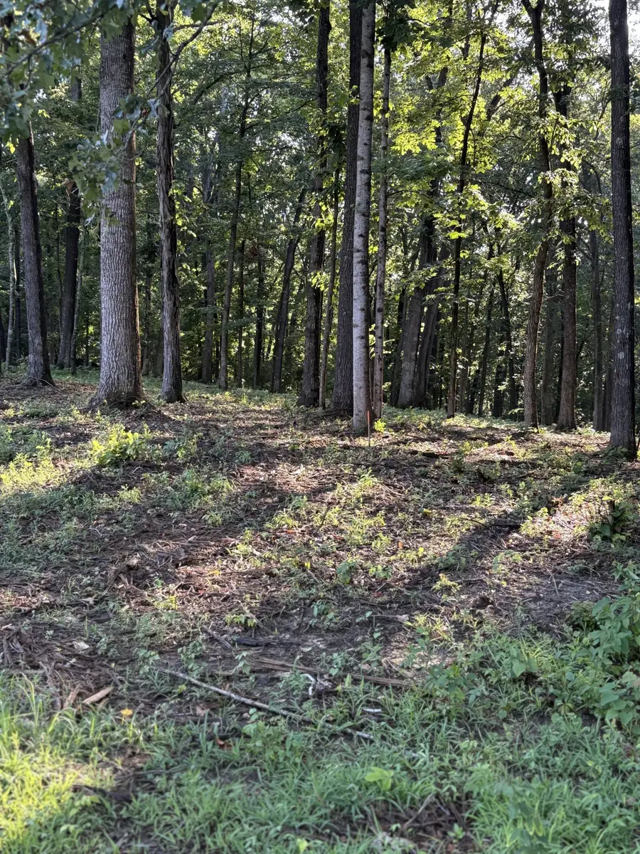 0 Iron Hill Road, Burns, TN 37029 - Image #3