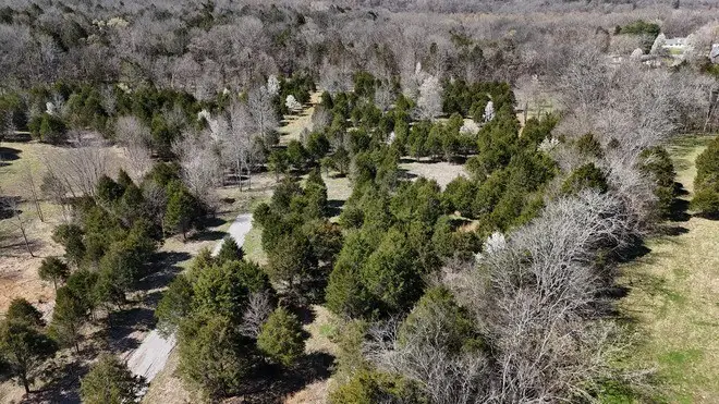 406A Harsh Ln, Castalian Springs, TN 37031 - Image #3