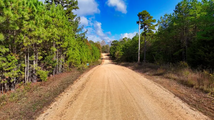 0 Bridge View Cove, Bath Springs, TN 38311 - Image #3