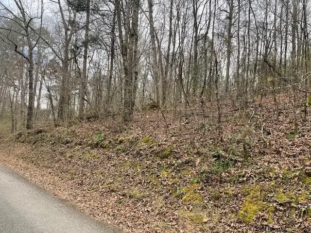 0 Wooten Lane, Chickamauga, GA 30707 - Image #3