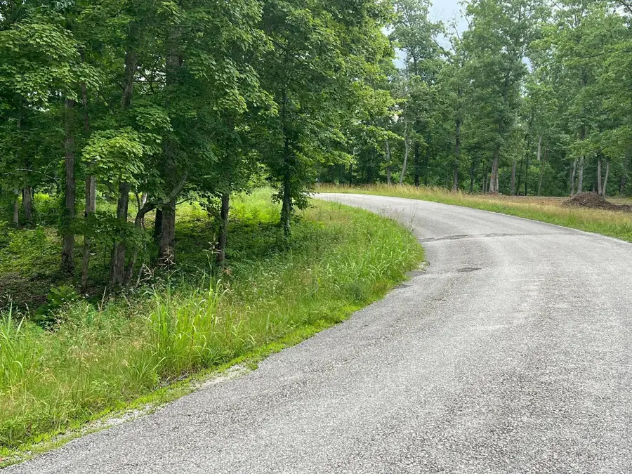 3 Slaughter Rd, Primm Springs, TN 38476 - Image #2