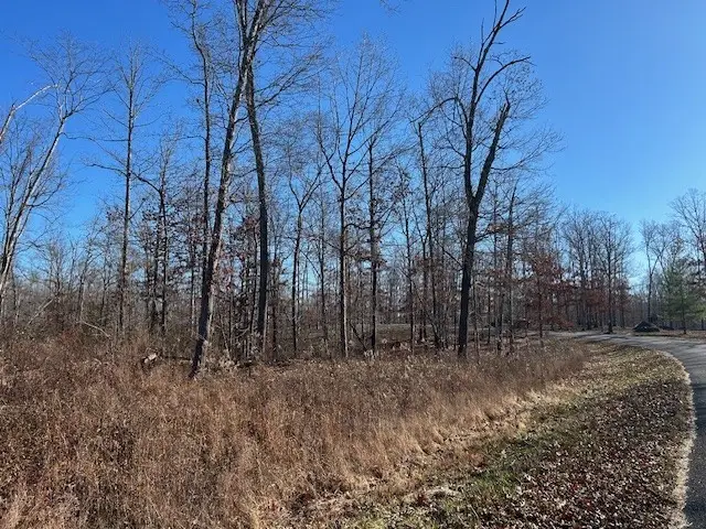 3 Slaughter Rd, Primm Springs, TN 38476 - Image #3