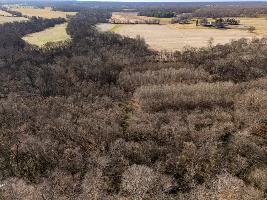 0 Greenleaf Ln, McMinnville, TN 37110 - Image #3