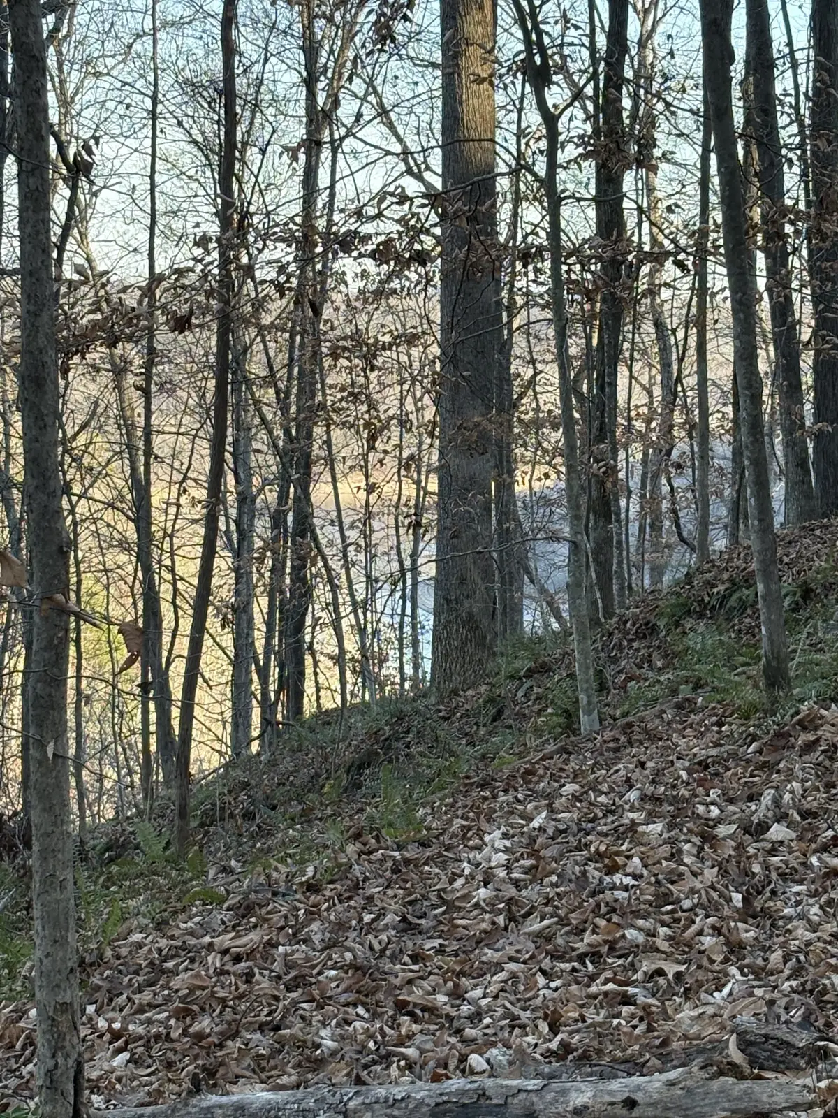 0 Mountain Lake Lane, Sparta, TN 38583 - #1