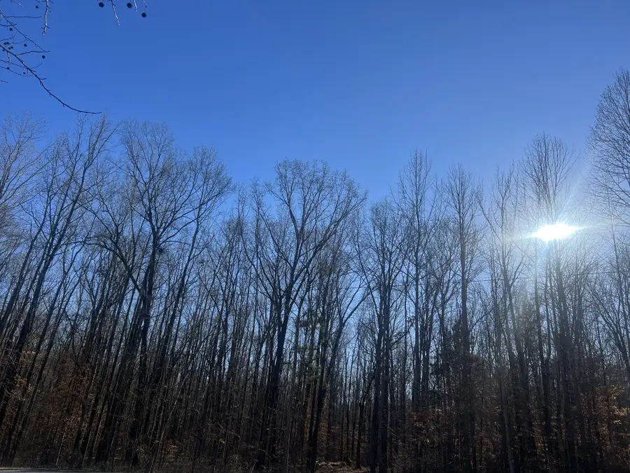 0 Excalibur Trail, Cedar Grove, TN 38321 - Image #2