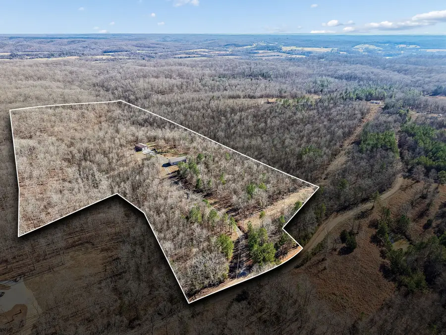 2901 Campground Hollow Road, Nunnelly, TN 37137 - Image #2