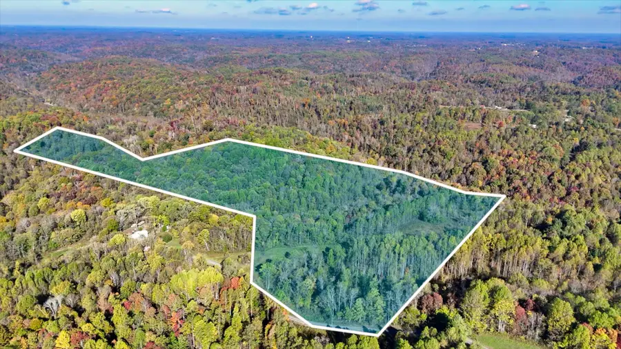 0 Patch Ln, Bethpage, TN 37022 - Image #2