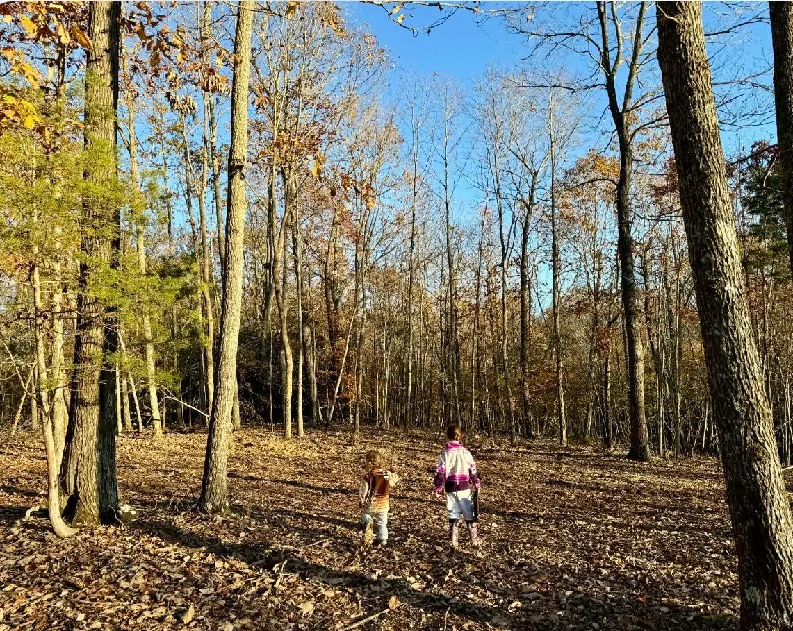 260 Lineport Rd, Bumpus Mills, TN 37028 - Image #1