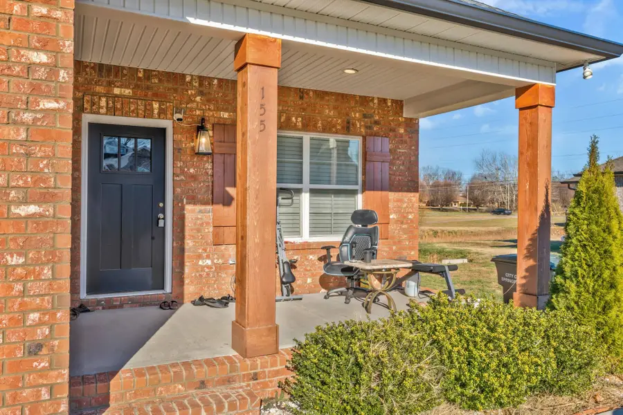 155 Julia Ann Ct, Springfield, TN 37172 - #3